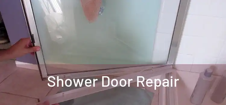  Shower Door Repair 